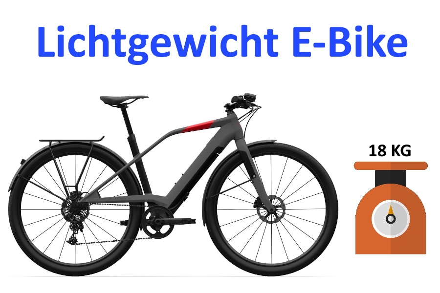 lichtgewicht e-bike